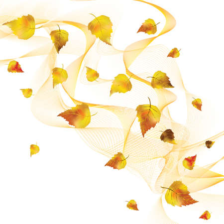 Falling colorful autumn leavesのイラスト素材