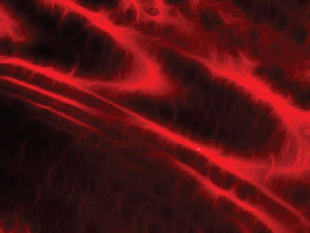 Abstract design background. illustration