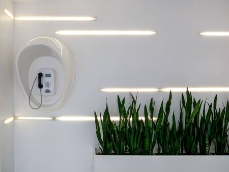 Public payphone for phone cards in a white modern interior with led lights and green plants.の写真素材