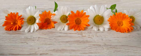Panorama. Chamomile and calendula flowers in a row on a wooden background. Design, flower arrangement.の写真素材