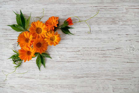 Wild flowers of chamomile and calendula on a white wooden background. Flower arrangement. The view from the topの写真素材