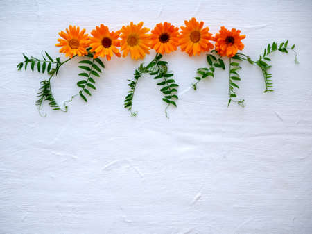 Wild flowers calendula. Flower arrangement. Festive concept with spring flowers on white background. copy space top viewの写真素材