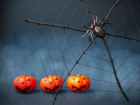 Halloween. Creepy spider on the web and Jack pumpkins. Selected sharpness. Scary night sceneの写真素材