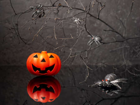 Halloween pumpkin with spiders in a scary place at nightの写真素材