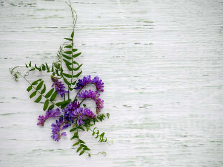 Field lilac flowers and bindweed on a light wooden background. Flower arrangement. A small bouquet. Overhead view.の写真素材
