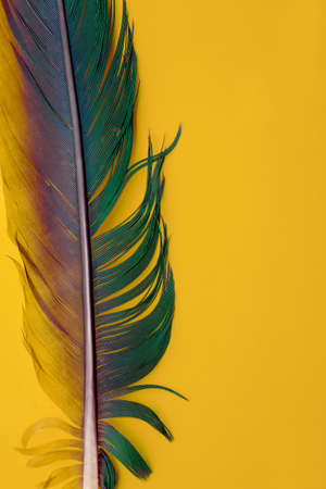 Colorful parrot feather close-up. Macro texture, background of fashionable color Fortuna Goldの写真素材
