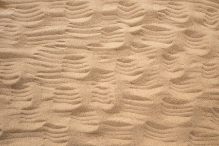 Loose sand is beige. Background for your design