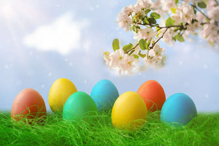 Happy Easter. A row of decorative Easter eggs on the green grass. On the background of the sky and...