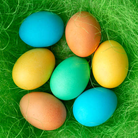 traditional painted Easter eggs in green grass. bright spring background. the view from the top.