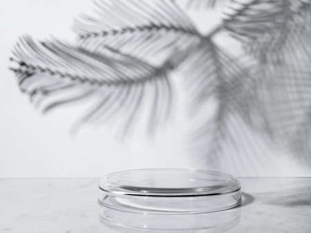 Marble table with a shadow of tropical leaves on the background of the wall, suitable for the...