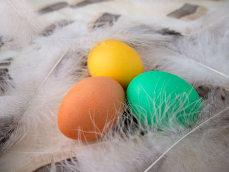Bright Easter. Golden Easter eggs on soft fluffy feathers.の写真素材