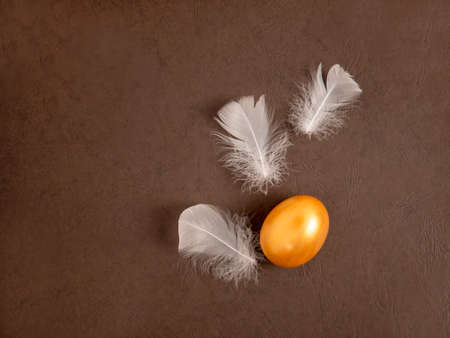 Stylish concept of Easter golden egg. Easter golden egg and chicken feather on dark background. Postcard with copy spaceの写真素材
