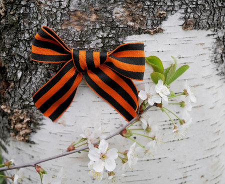 .9th May. The concept of the Great Victory Day of 1941-1945 and Defender of the Fatherland Day. St....