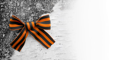9th May. The concept of the Great Victory Day of 1941-1945 and Defender of the Fatherland Day. St. George ribbon on the background of Russian birch. bannerの写真素材