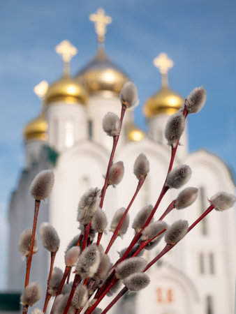 The Christian holiday is Palm Sunday. Willow branches on the background of an Orthodox church. Palm Sunday, Easter. The concept of religion and human spirituality.の写真素材