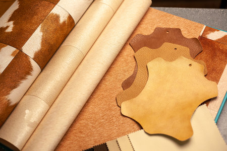 Home interior design. Wallpaper for walls, artificial leather and textiles for furniture making. Renovation and interior planning of the house. Copy space.の写真素材