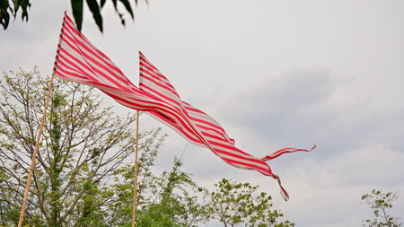 The image shows three red and white striped flags waving in the wind. The flags are mounted on tall poles and are set against a backdrop of trees and a cloudy sky.の写真素材