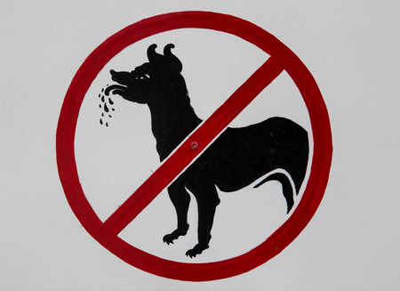 This no dog sign is shown at a museum.の写真素材