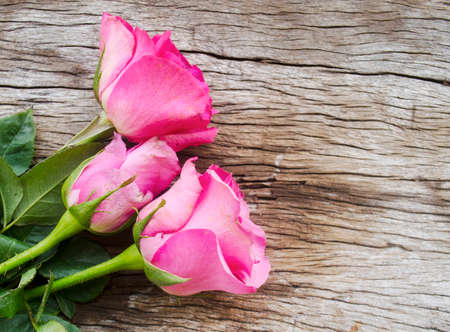 Roses on old wooden board, Valentines Day background, wedding day.Postcard / greeting card. Pink roses on textured wooden background. Copy space, top view. Panoramaの写真素材