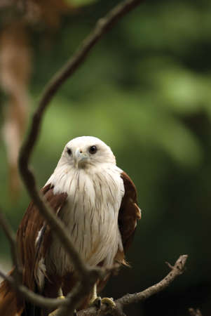 Waitingの写真素材