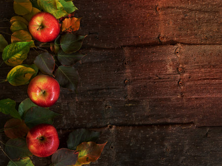 Autumn background with ripe farm apples with colorful leaves on natural tree bark background. Top view, flat lay, copy space.の写真素材