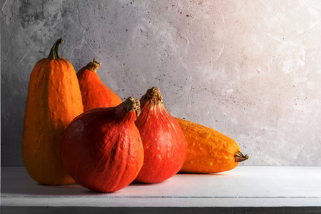 Large orange pumpkins and courgettes on white wooden boards on grey concrete wall backdrop. Fall composition of pumpkins. Autumn harvest, Halloween or Thanksgiving concept. Copy space.の写真素材