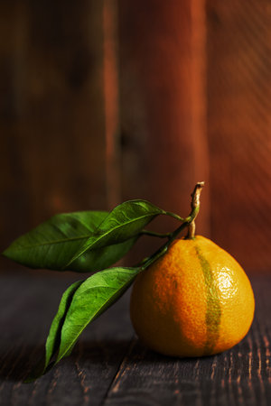 One ripe yellow mandarin with green leaves is lying on dark rustic wooden table on wooden background.の写真素材