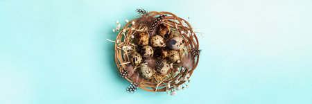 Quail eggs in wicker dish on light blue backdrop. Easter wide banner. Easter table setting idea. Easter table decorations with eggs, feathers, white gypsophila flowers. Top view. Copy space.の写真素材