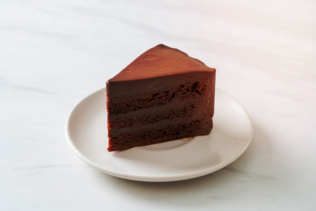 chocolate cake with soft chocolate layer on plateの写真素材