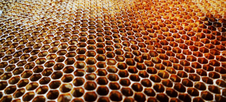 Background hexagon texture, wax honeycomb from a bee hive filled with golden honey. Honeycomb macro photography consisting of beeswax, yellow sweet honey from beehive. Honey nectar of bees honeycombs.の写真素材