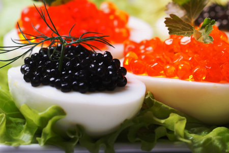 Chicken eggs with black and red fish caviar and lettuce macro horizontalの写真素材