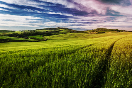 Green field and blue sky in Tuscany