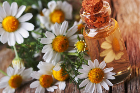 fragrant oil of chamomile in glass bottle macro on wooden table horizontalの写真素材
