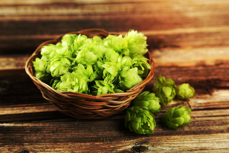 Hops in basket on brown wooden backgroundの写真素材