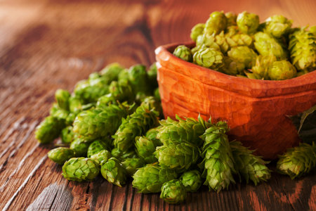 Fresh green hops on a wooden desk, served in bowl. Low depth of focusの写真素材
