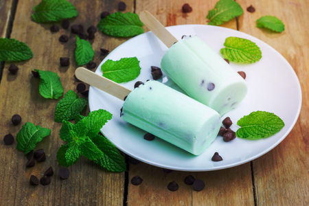 Mint and chocolate chips yogurt 
Ice Creamの写真素材