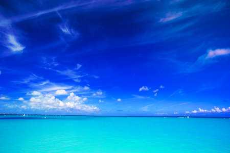 Perfect white beach with green palms and turquoise waterの写真素材