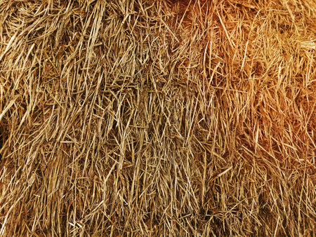 Hay texture. Hay bales are stacked in large stacks. Harvesting in agriculture