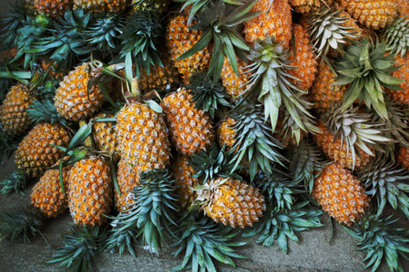Pineapples are in the fresh market.の写真素材