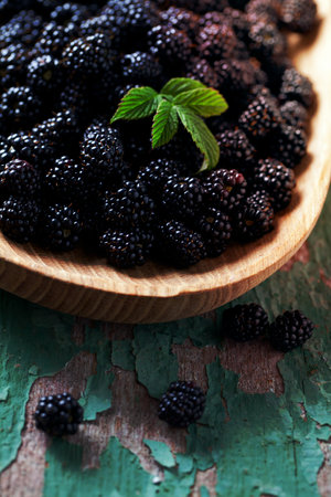 blackberriesの写真素材