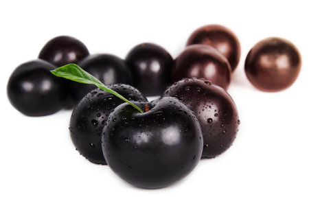 dark plums isolated on a white backgroundの写真素材
