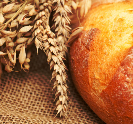 fresh wheat bread on burlapの写真素材
