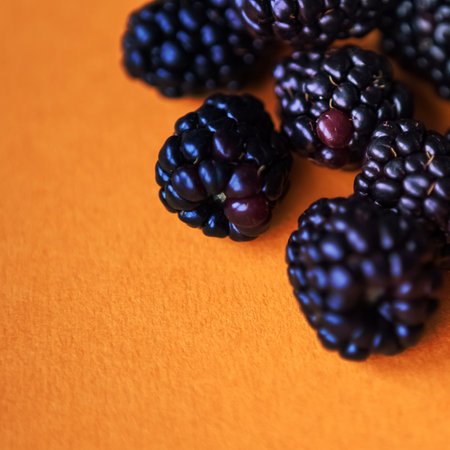 Ripe blackberry on a yellow paperの写真素材