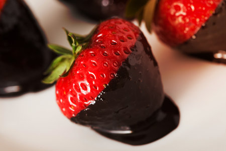 macro chocolate covered strawberries in a row, shallow depth of fieldの写真素材