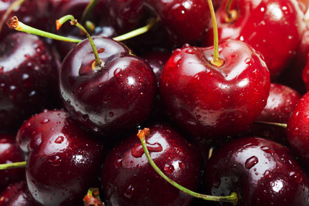 The cherry is the fruit of the genus Prunus.の写真素材