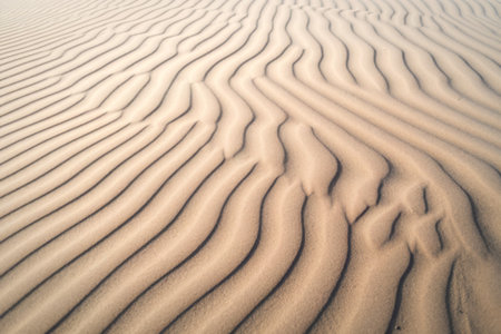 A photo of a close-up view of sand dunes with intricate ripple patterns.の写真素材