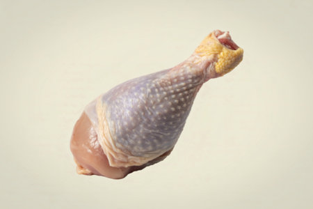 a raw chicken drumstickの写真素材