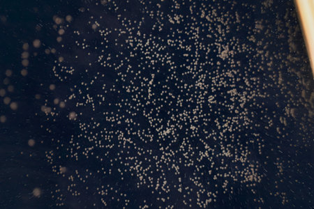 a night sky filled with numerous white dots