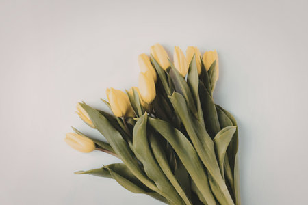 A bouquet of yellow tulips with green leaves on a white background