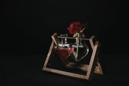 A single red rose is reflected in a small wooden-framed mirror, with a glass of red wine beside it.